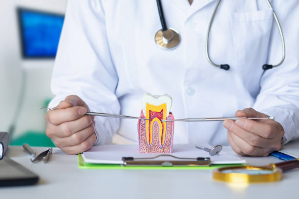 Best Emergency Dental Clinic in AK
